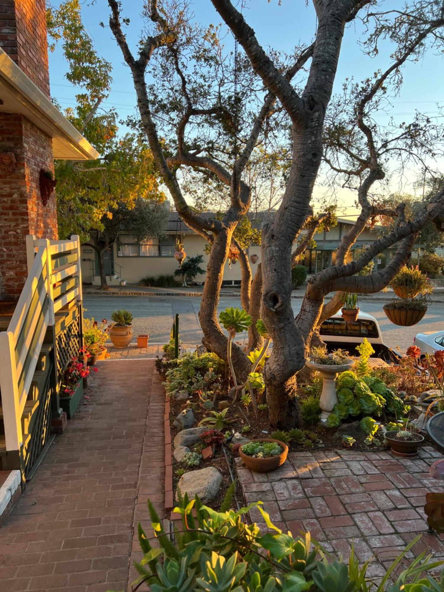 Carmel Garden Inn Exterior photo